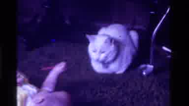 California USA (1975): Purple Tinted Footage Of Baby Lying On Its Back While White