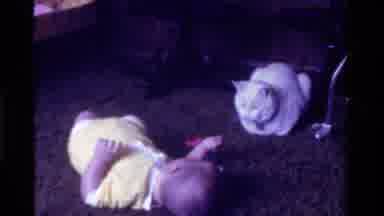 California USA (1975): Child Pussy Cat Playing Lying Ribbon Play Pet Love Care