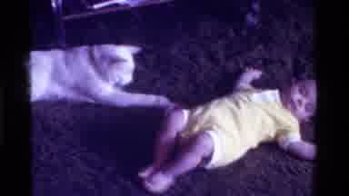 California USA (1975): Athletic Kitten Playing With Joyful Baby