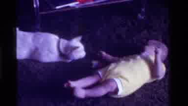California USA (1975): White Furry Cat Loves Watching The Baby While Laying Down