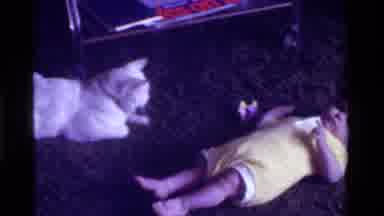 California USA (1975): A Baby And Cat Is Laying On The Floor