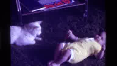 California USA (1975): A Baby Laying On The Floor Kicking With A Toy And A Cat