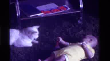 California USA (1975): Baby On Carpet Excitedly Looking At Cat Lying Down Next To