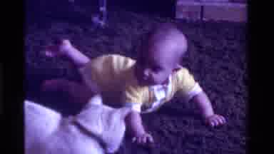 California USA (1975): A Baby Playing With A White Cat He Is Trying To Pet The Cat