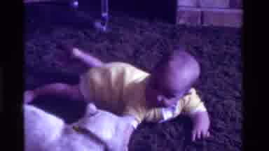 California USA (1975): Baby On Its Belly Looking At White Cat