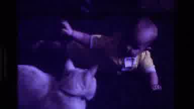 California USA (1975): A Baby Interacting With A Cat