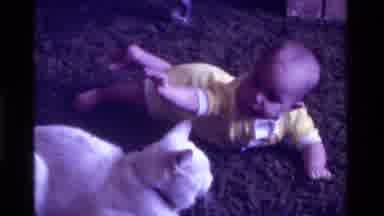 California USA (1975): Baby Plays With The Family Cat On His Parents' Living Room