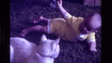 California USA (1975): A Baby Playing With A White Cat On The Floor