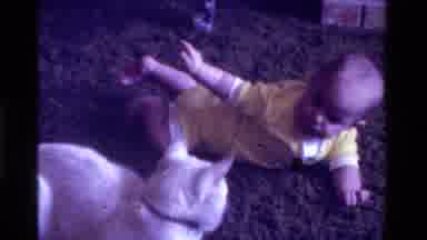 California USA (1975): Toddler Playing With A White Cat Lying On A Moquette