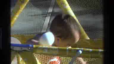 California USA (1977): A Little Baby In A Play Area With Bouncy Balls
