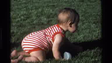 California USA (1977): Crawling Adventurous Baby Curious Cat