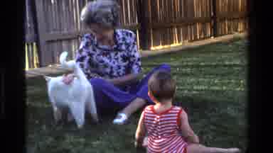 California USA-1977: Grandma Petting White Cat as Toddler Crawls Nearby