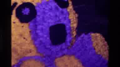 California USA (1977): Teddy Bear Cake Candle Pan Camera Vintage Happy Birthday