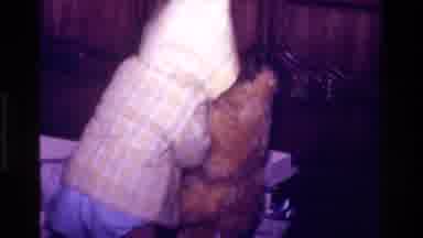 California USA (1977): Baby Plays With His Teddy Bear And Nearly Falls On The
