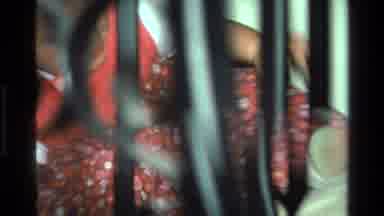 California USA (1977): Female Child In Red Dress In Seen On Carpeted Floor Through