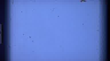 California USA (1977): Film Black Dust Specks Overlay On A White Blue Cyan