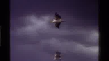 Kenya (1983): A Flock Of Birds Flying In Formation Near Some Mountains And Open