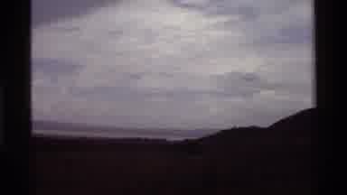 Kenya (1983): A Group Of Large Birds On The Ground With One Spreading Its Wings