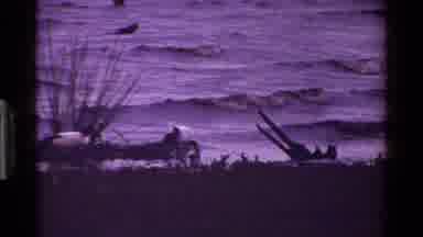 Kenya (1983): Birds Along The Shoreline Walk To Look For A Quick Snack