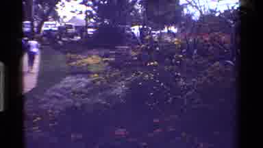 KENYA-1983: People Walking Through Flower Garden Near Equator Sign
