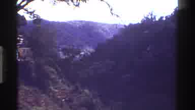 Kenya (1983): Bird Groups In Search Of Happiness