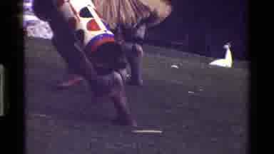KENYA-1983: Tribal Dance Performed By Dancers In Traditional Outfits With Goose In Background