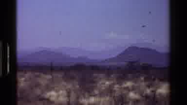 Kenya (1983): Native Desert Vegetation With Many Undergrowths Full Of Thorns And
