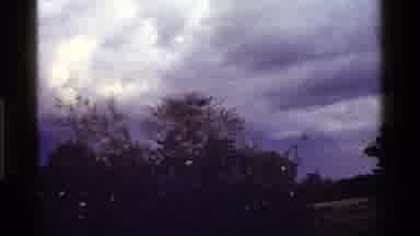 KENYA-1983: Heron Perched In Tree Against Cloudy Sky