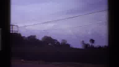 Kenya (1983): Camera Filming Plant And Cutting To Landscape With Bush And Trees In