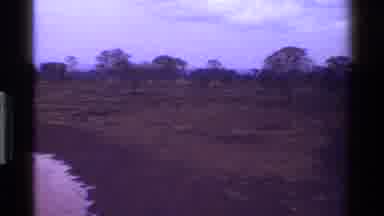 KENYA-1983: Savanna Landscape With Trees And Lake