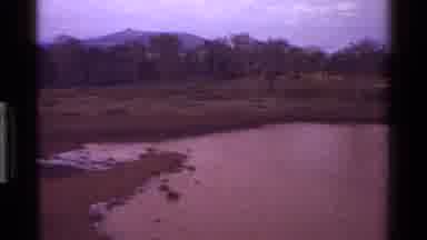 Kenya (1983): Beautiful Landscape And Warthog Scratching Itself On A Rock