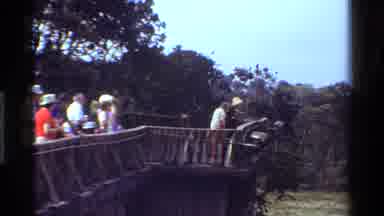 Kenya (1983): Tourists Looking At Monkey And Game Around A Watering Hole
