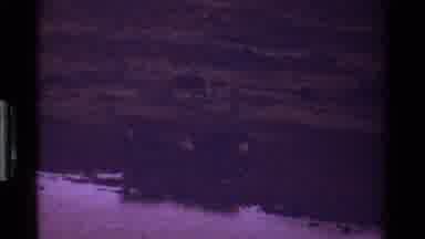 Kenya (1983): Two Deer Interact On The Bank Of A Pound At Dusk