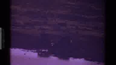 Kenya (1983): The Great Wetlands With Animals