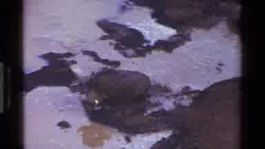 Kenya (1983): Several Animals Roaming Around In A Safari By Themselves