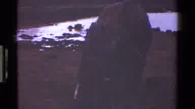 Kenya (1983): Elephant Near A Lake