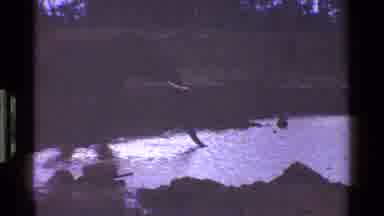 KENYA-1983: An Elephant Drinking From Water At Twilight In Vintage 8mm Film