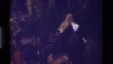 Kenya (1983): African Tribe Dances In Ceremony Wearing Robes And Feather Hats