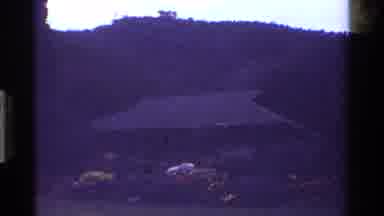 Kenya (1983): A Small House In A Field Is Shown Among Some Lovely Flowers