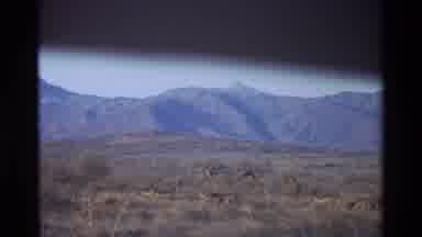 Kilaguni Kenya (1983): A Video Of A Deer With Large Antlers And A Mountain