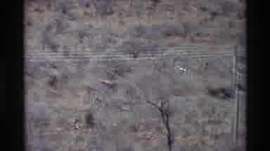 Kilaguni Kenya (1983): Forest Near With Building Is Shown Widely