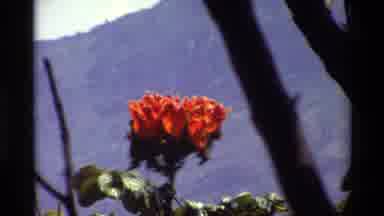 Kilaguni Kenya (1983): Lady Sitting On Patio Enjoying The Outdoors A Look At