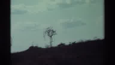 KILAGUNI KENYA-1983: Eerie Footage Of Animals Walking Along The Range