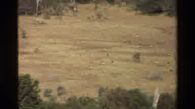 Kilaguni Kenya (1983): Nature Scene Outside In Front Of Mountains In The Fall Or