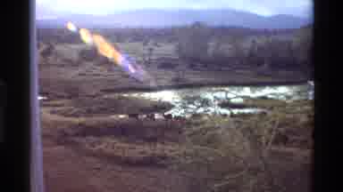 Kilaguni Kenya (1983): Animals Walking Along The Banks Of A Stream In The Sun