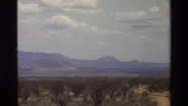 Kilaguni Kenya (1983): Tall Stalky Giraffe Walks Through Field Between Trees In