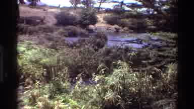 Kilaguni Kenya (1983): Small River In A Bushland Setting