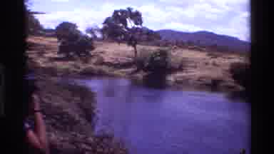 Kilaguni Kenya (1983): The Landscape Of Bush And Low Trees Of A Branch Of The