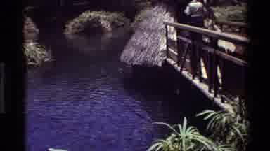 Kilaguni Kenya (1983): Alligator Calmly Swimming And A Bridge With A Person On It