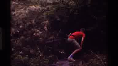 Kilaguni Kenya (1983): The Man Is Searching Something To Eat In The Thick Bushes